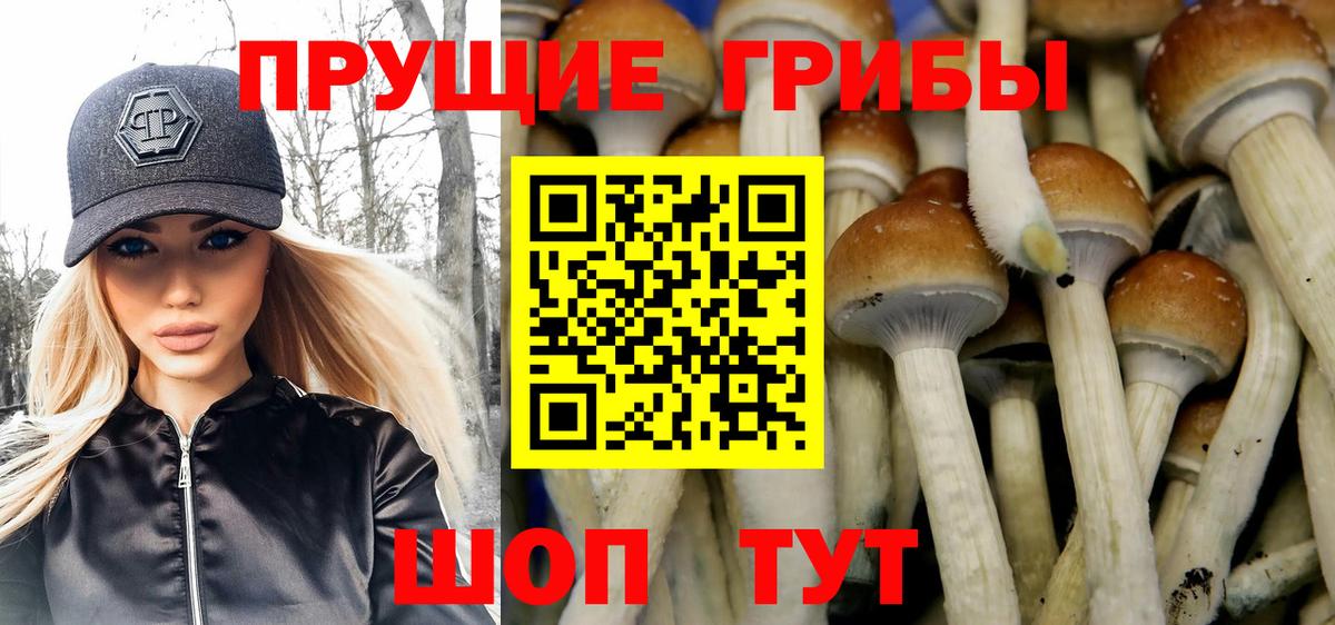Галлюциногенные грибы прущие грибы Карталы